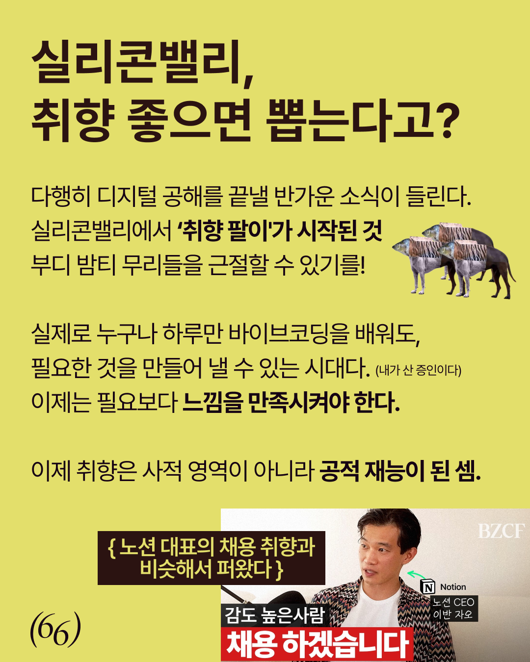 66pov4.2 — 실리콘밸리, 취향 좋으면 뽑는다고?